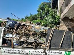 Best Shed Removal  in New Hope, MN